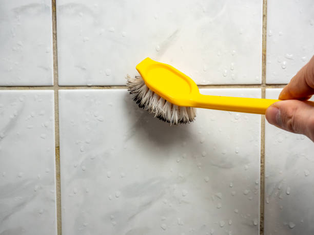 Best Affordable Mold Removal  in Victoria, VA