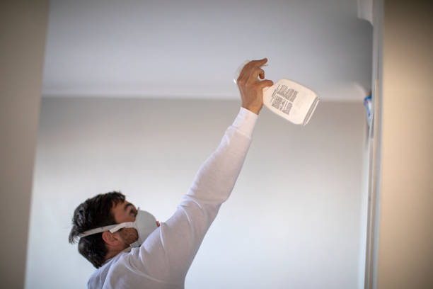 Best Mold Damage Repair  in Victoria, VA