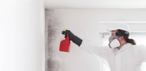 Best Mold Testing  in Victoria, VA
