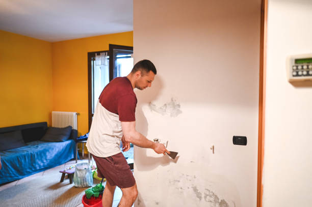 Best Fast Mold Removal  in Victoria, VA